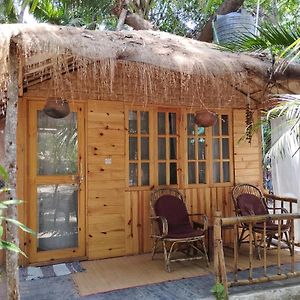 Yoga Culture Palolem